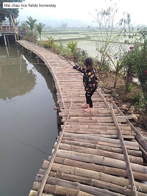 Mai chau rice fields homestay