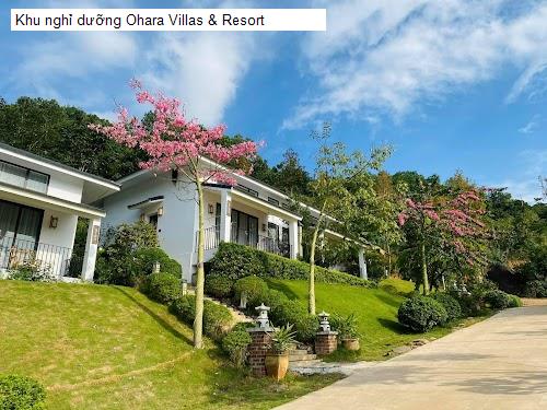 Khu nghỉ dưỡng Ohara Villas & Resort